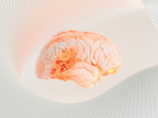 brain