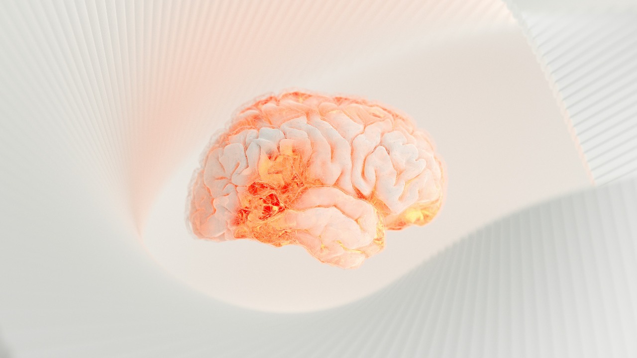brain