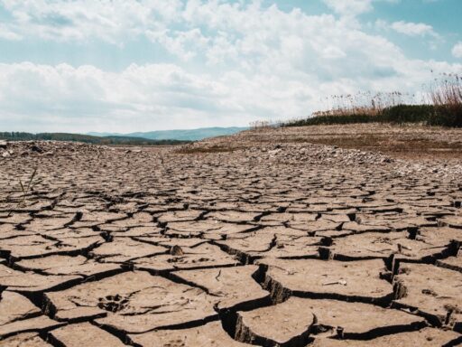 Drought