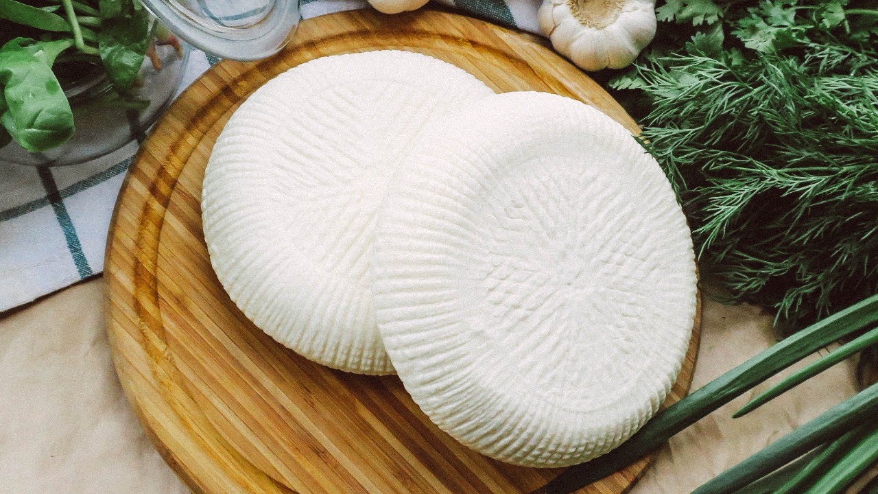 Plant-Based Cheese