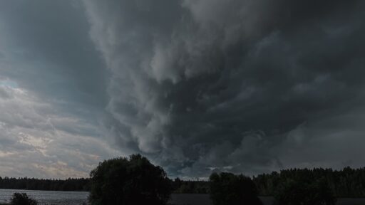 derecho