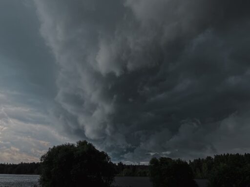 derecho