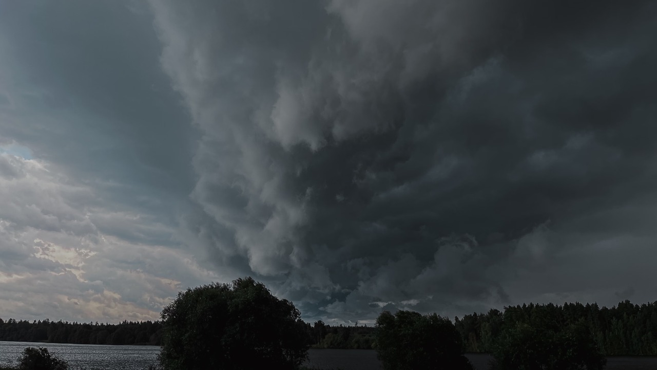 derecho