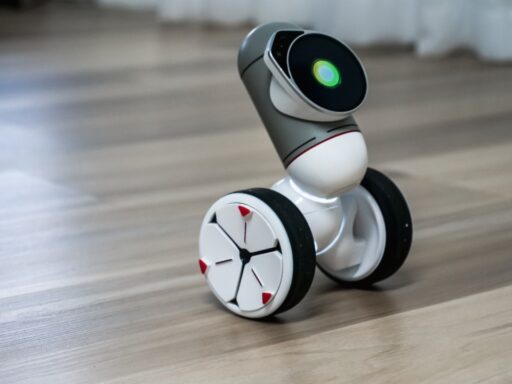 home robot