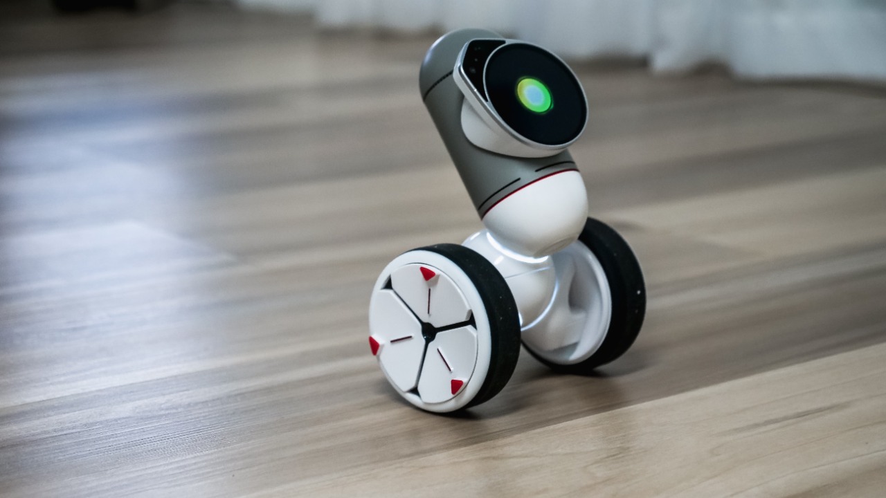 home robot