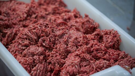 meat