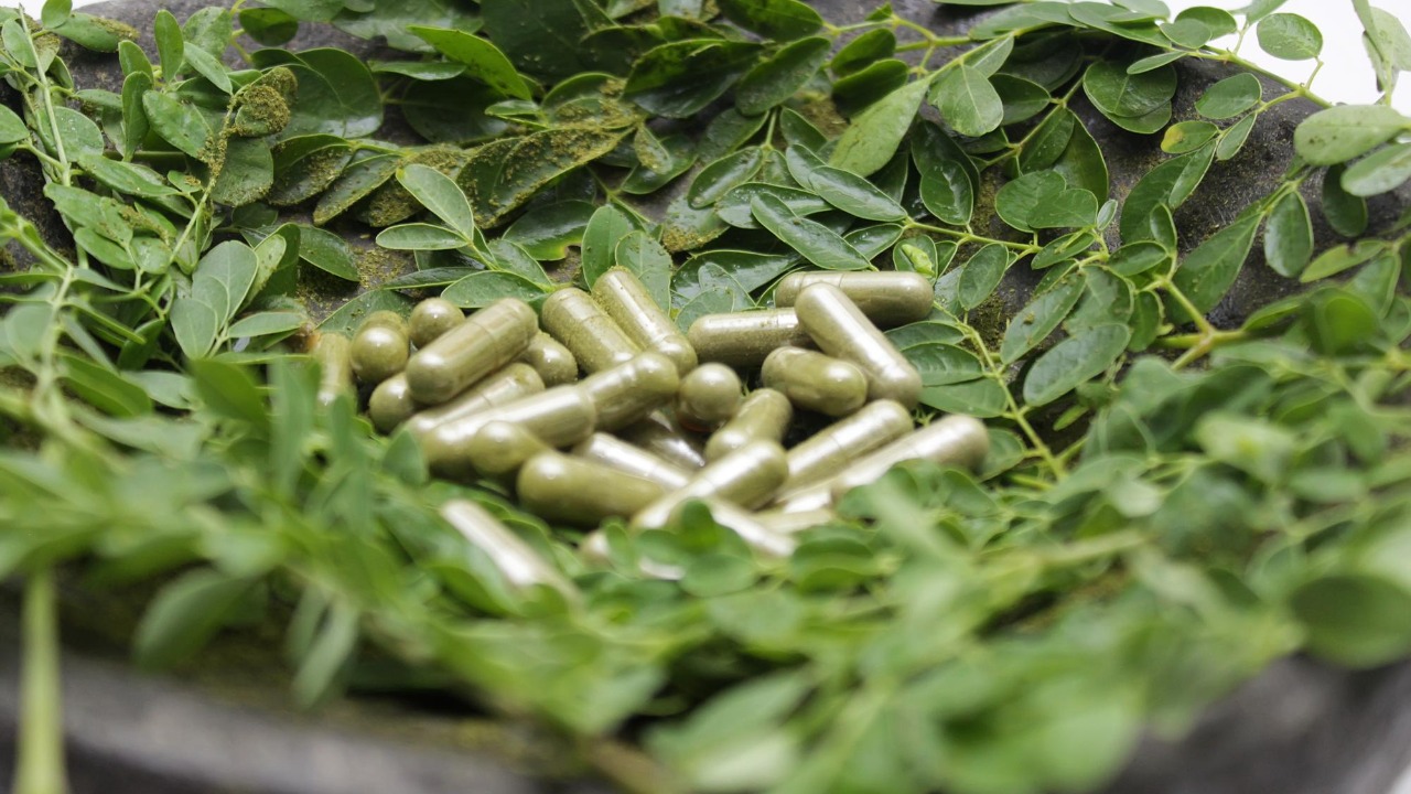 moringa leaves