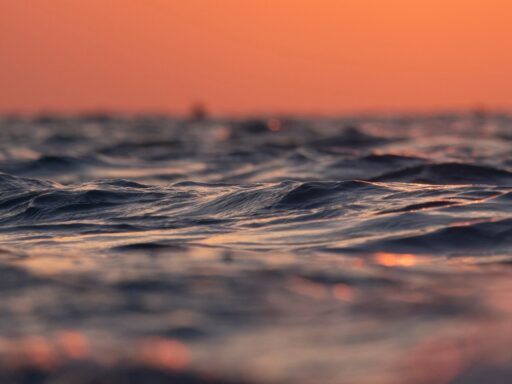 oceans