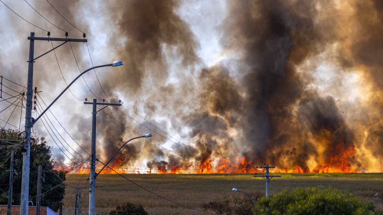 wildfire