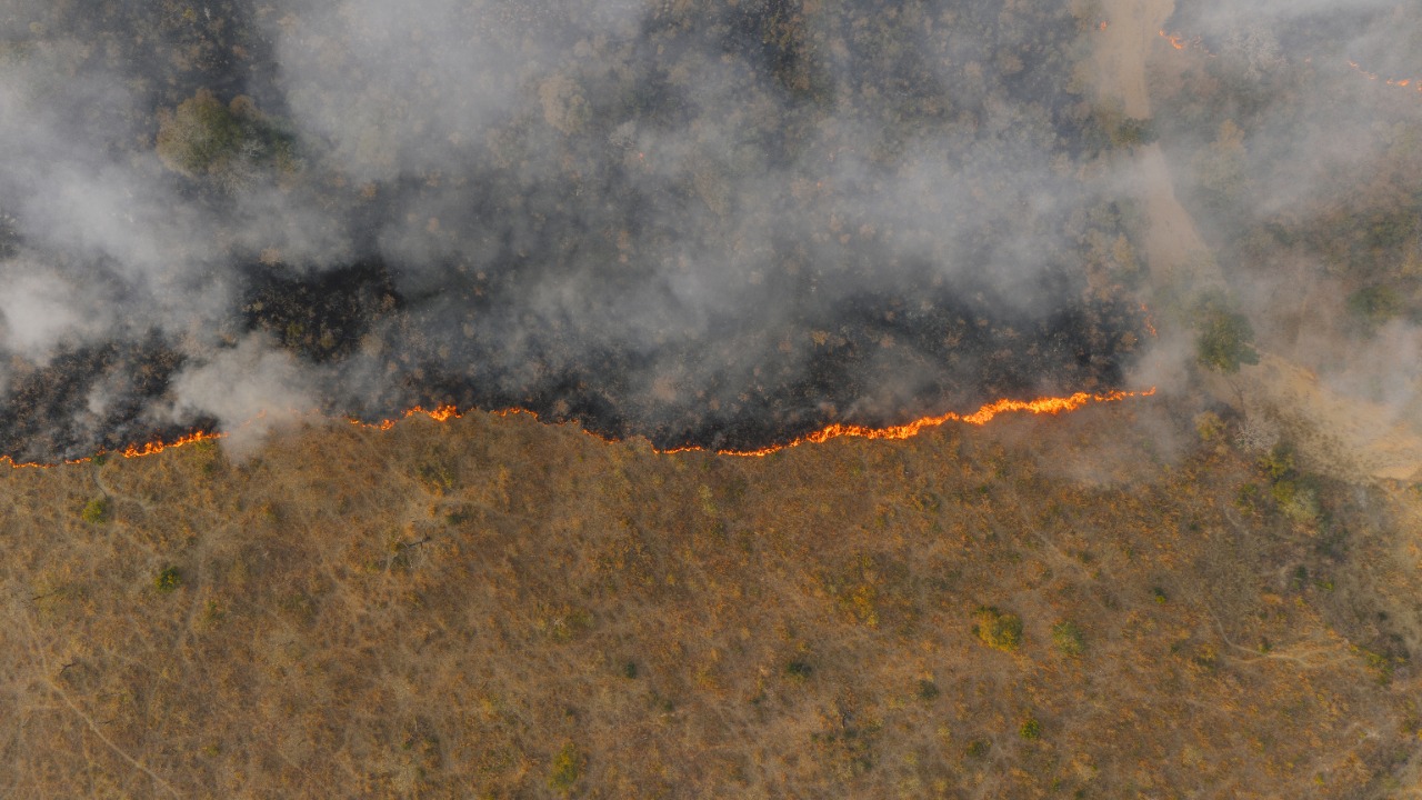 wildfire