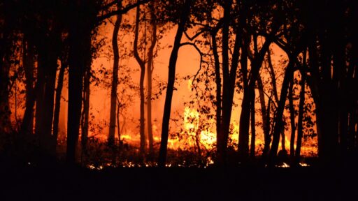 wildfires