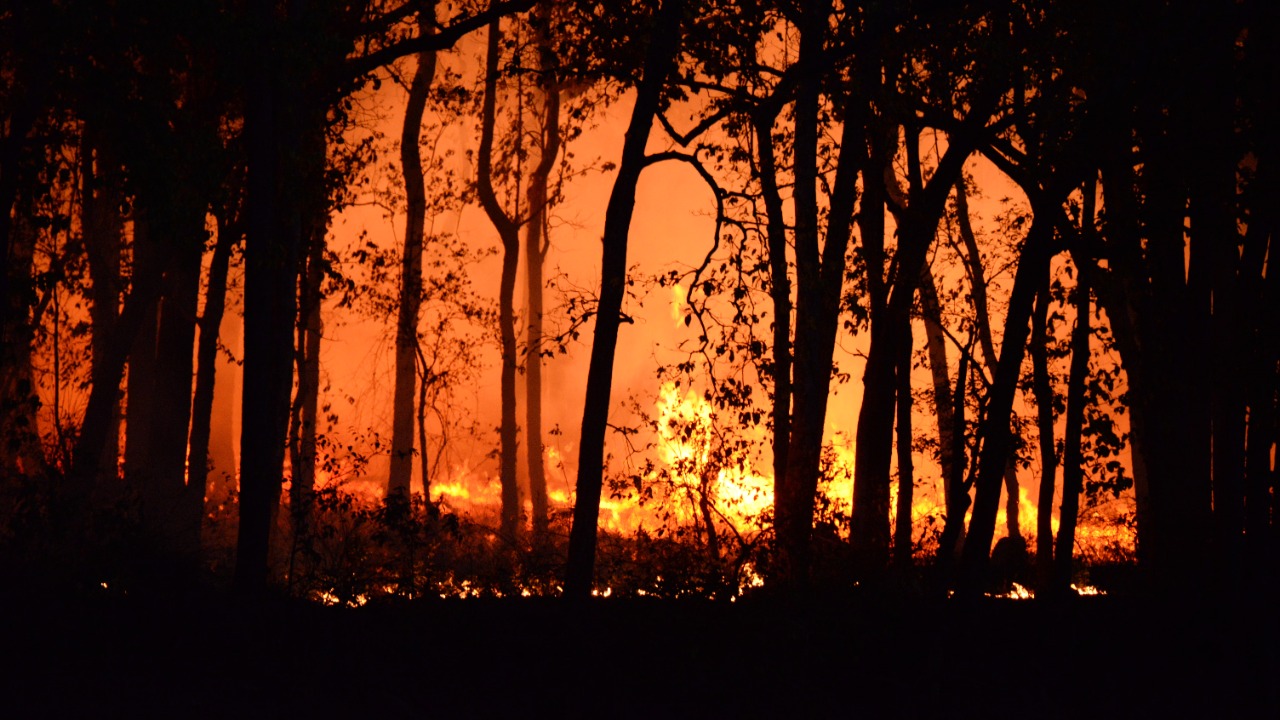 wildfires