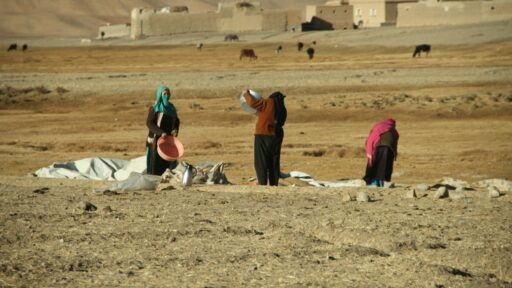 14 Afghan Migrants