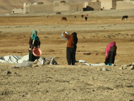 14 Afghan Migrants
