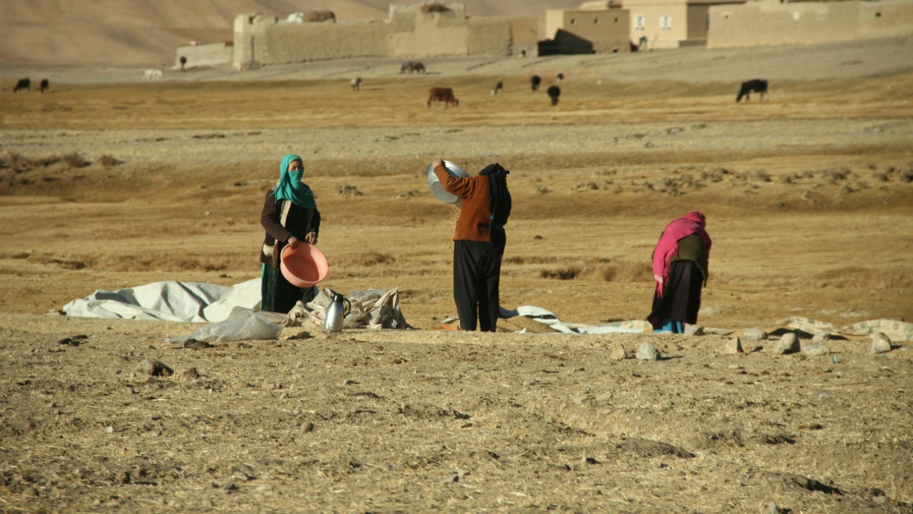 14 Afghan Migrants