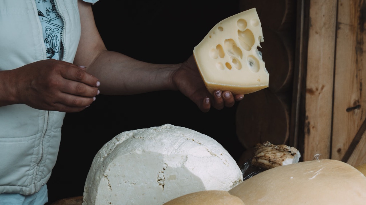 Cheese