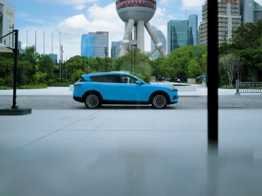 Chinese EVs