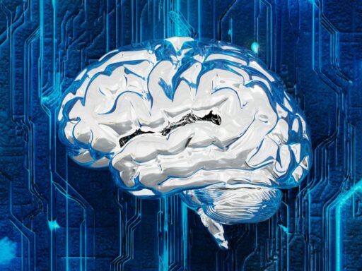 Brain